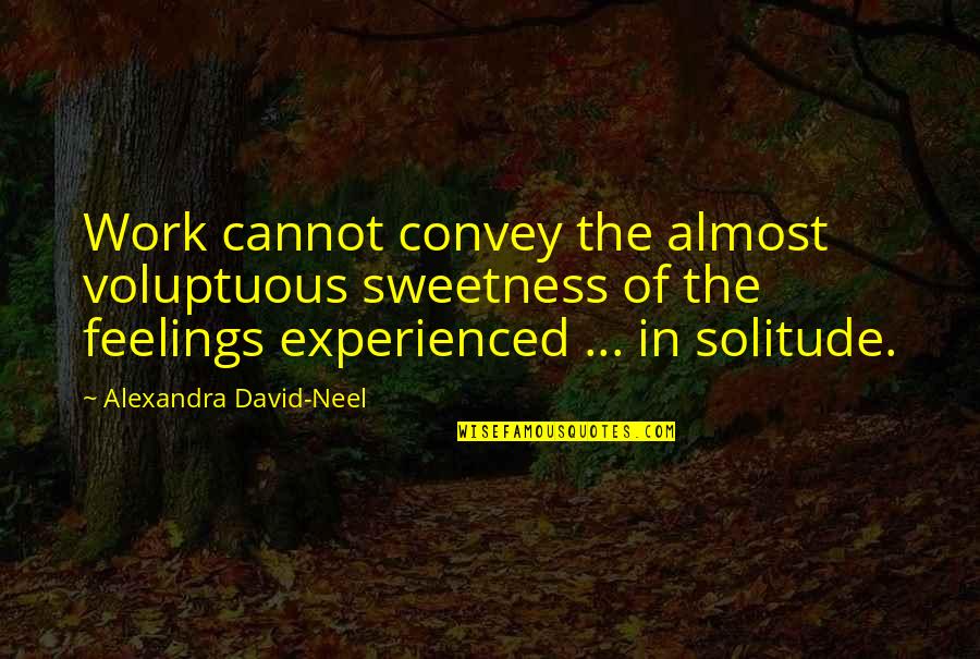 Saroj Quotes By Alexandra David-Neel: Work cannot convey the almost voluptuous sweetness of
