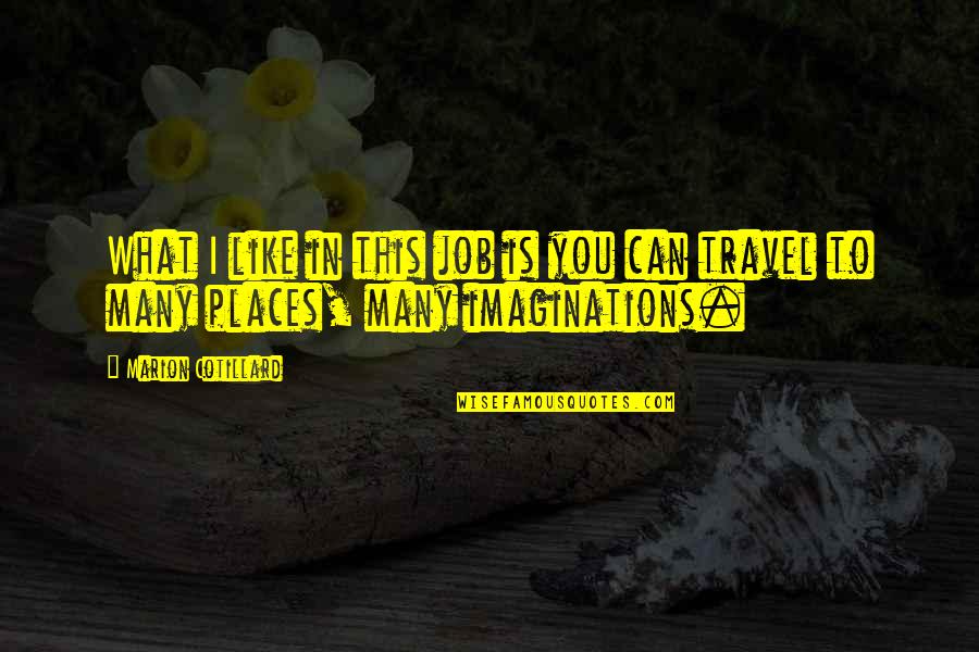 Sartorelli Cookies Quotes By Marion Cotillard: What I like in this job is you Sartorelli Cookies Quotes By Marion Cotillard: What I like in this job is you