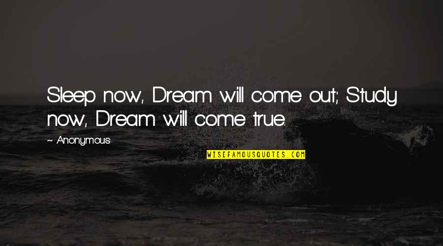 Sarved Quotes By Anonymous: Sleep now, Dream will come out; Study now,