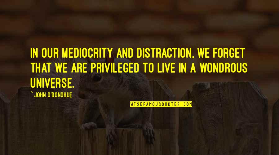 Sarvodaya Quotes By John O'Donohue: In our mediocrity and distraction, we forget that