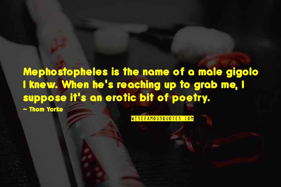 Sarvodaya School Quotes By Thom Yorke: Mephostopheles is the name of a male gigolo