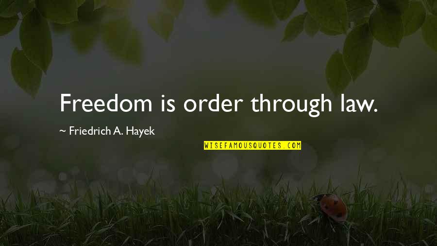 Sasame Theri Quotes By Friedrich A. Hayek: Freedom is order through law.