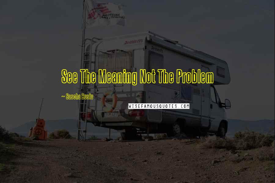 Sascha Bosio quotes: See The Meaning Not The Problem