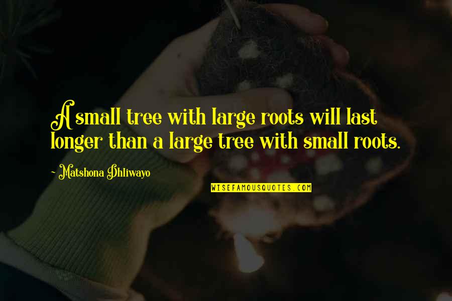 Sash Lilac Quotes By Matshona Dhliwayo: A small tree with large roots will last