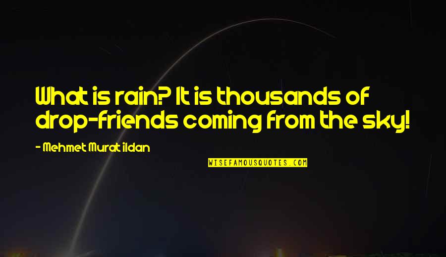 Sash Lilac Quotes By Mehmet Murat Ildan: What is rain? It is thousands of drop-friends