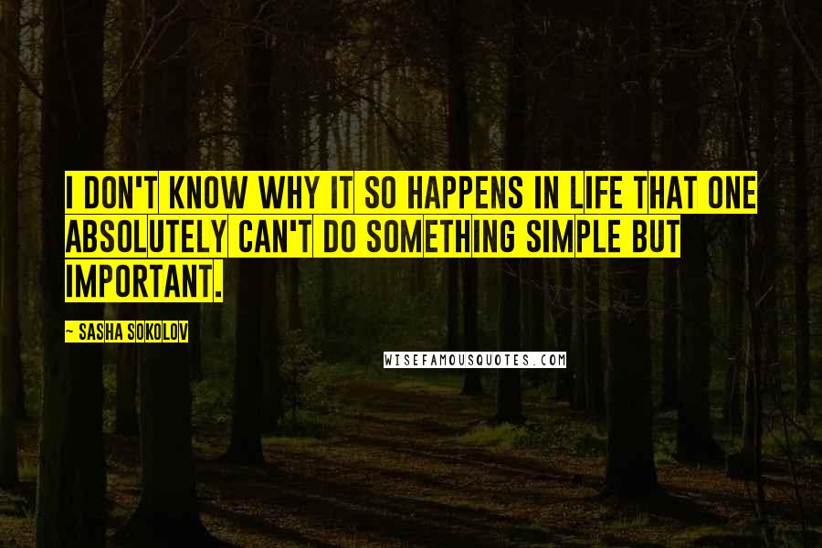 Sasha Sokolov quotes: I don't know why it so happens in life that one absolutely can't do something simple but important.