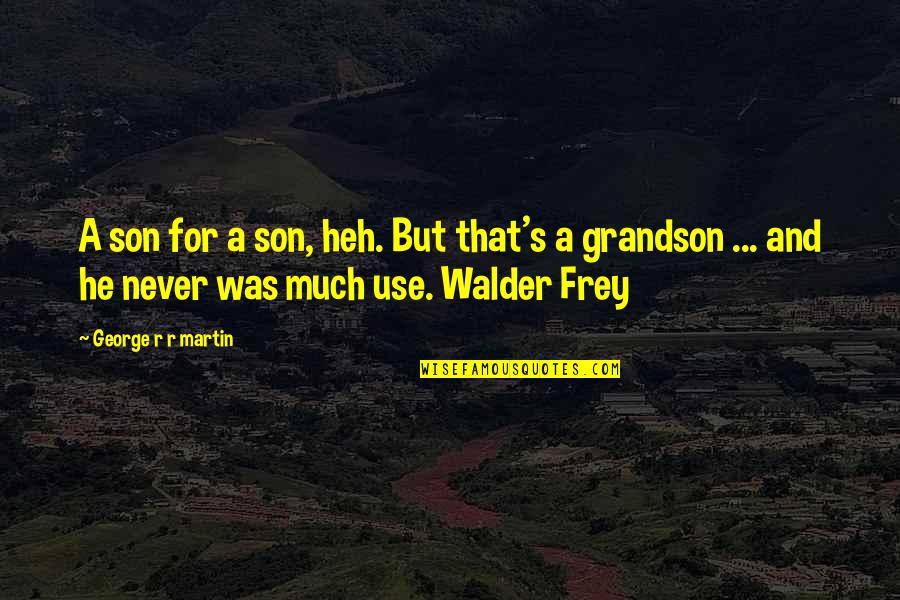 Sassamansville Quotes By George R R Martin: A son for a son, heh. But that's
