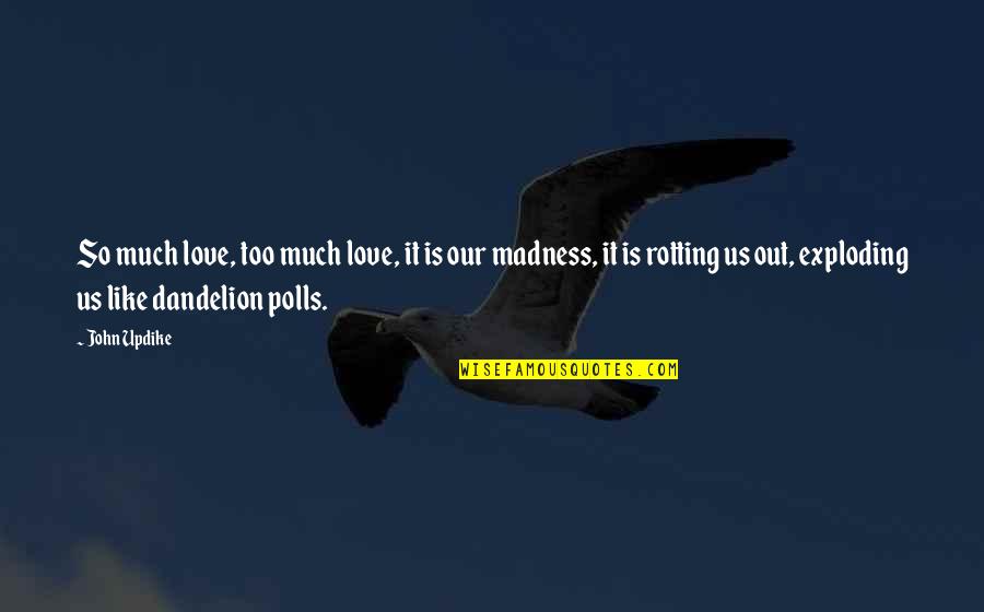 Sassard Products Quotes By John Updike: So much love, too much love, it is Sassard Products Quotes By John Updike: So much love, too much love, it is