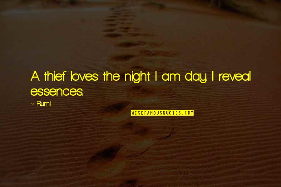 Sassy Daughters Quotes By Rumi: A thief loves the night. I am day.