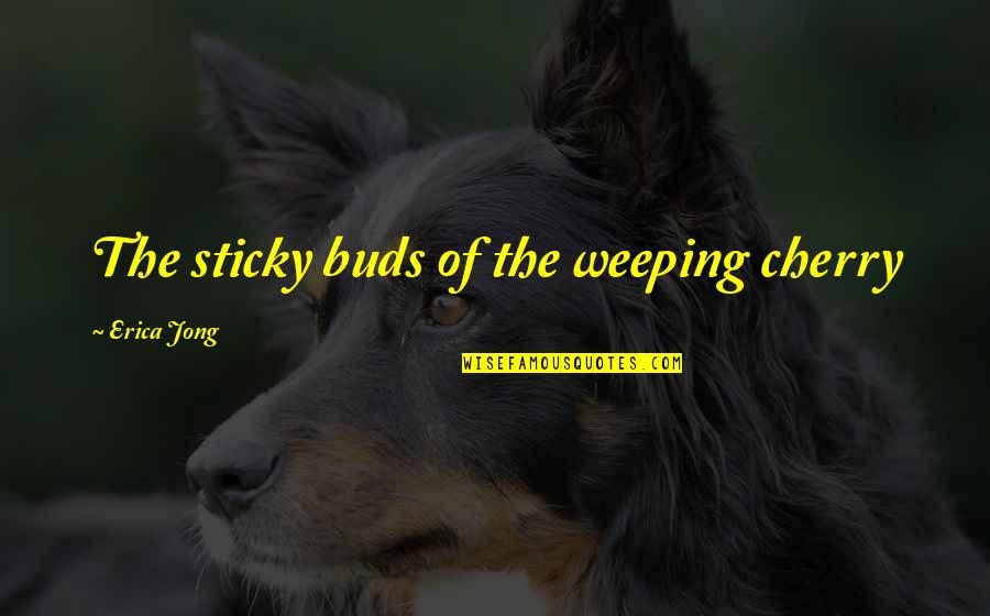Sassy Diva Quotes By Erica Jong: The sticky buds of the weeping cherry