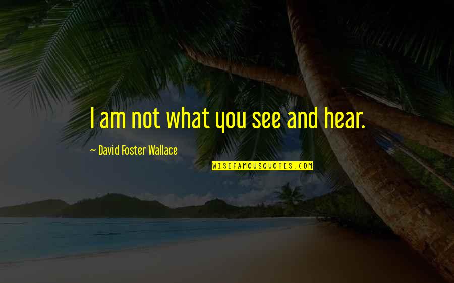 Satchin Quotes By David Foster Wallace: I am not what you see and hear. Satchin Quotes By David Foster Wallace: I am not what you see and hear.