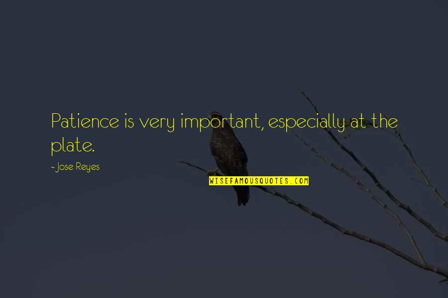 Sathya Sai Baba Sayings Quotes By Jose Reyes: Patience is very important, especially at the plate. Sathya Sai Baba Sayings Quotes By Jose Reyes: Patience is very important, especially at the plate.