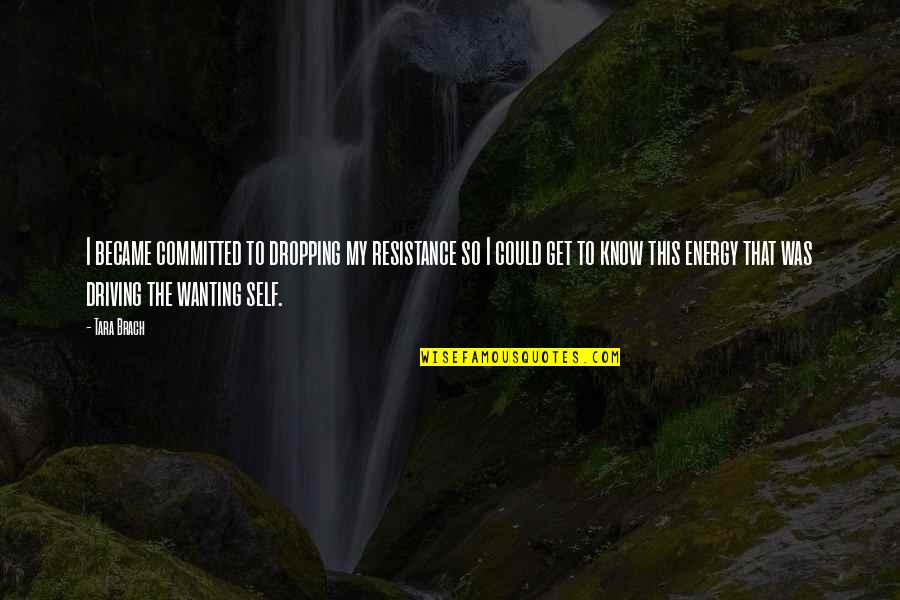 Sathyaraj Height Quotes By Tara Brach: I became committed to dropping my resistance so Sathyaraj Height Quotes By Tara Brach: I became committed to dropping my resistance so