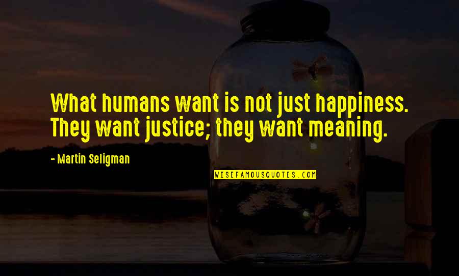 Satin And Lace Quotes By Martin Seligman: What humans want is not just happiness. They