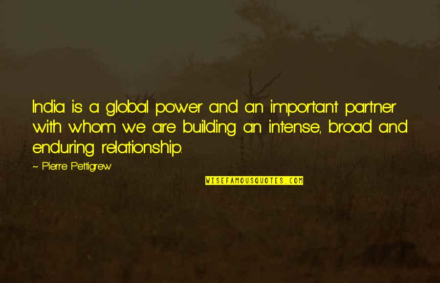 Satinwood Lane Quotes By Pierre Pettigrew: India is a global power and an important