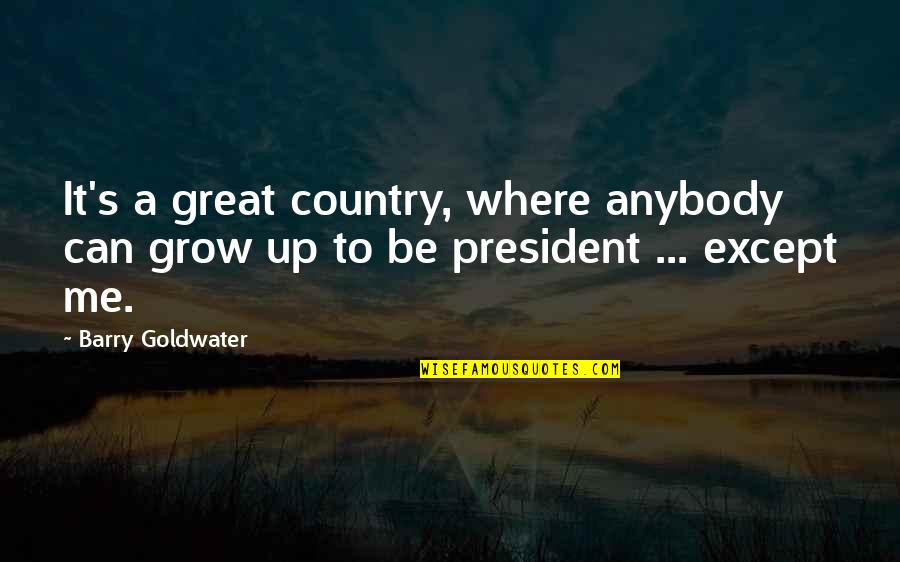Satire In Candide Quotes By Barry Goldwater: It's a great country, where anybody can grow