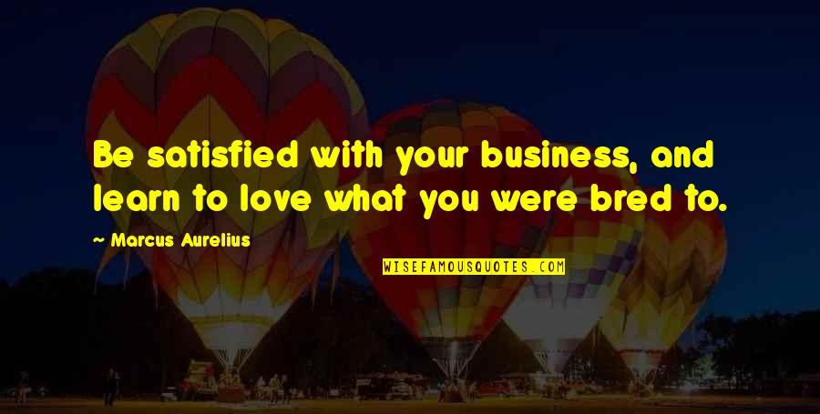 Satisfaction Love Quotes By Marcus Aurelius: Be satisfied with your business, and learn to