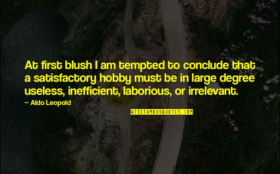 Satisfactory Quotes By Aldo Leopold: At first blush I am tempted to conclude