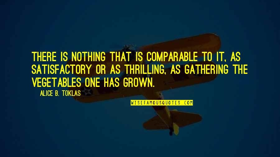 Satisfactory Quotes By Alice B. Toklas: There is nothing that is comparable to it,