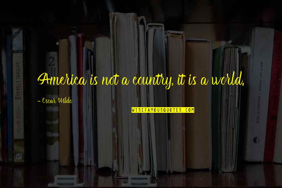 Satisfaras Quotes By Oscar Wilde: America is not a country, it is a