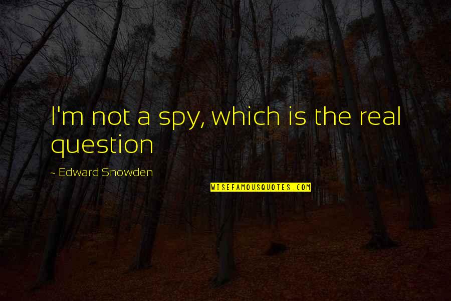 Satisfied Stomach Quotes By Edward Snowden: I'm not a spy, which is the real Satisfied Stomach Quotes By Edward Snowden: I'm not a spy, which is the real