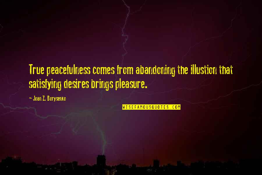 Satisfying Quotes By Joan Z. Borysenko: True peacefulness comes from abandoning the illustion that