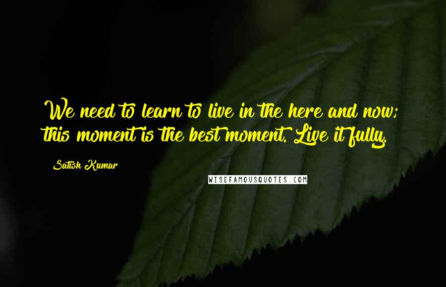 Satish Kumar quotes: We need to learn to live in the here and now; this moment is the best moment. Live it fully.