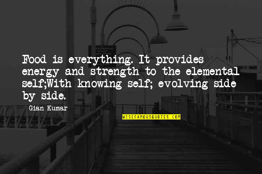 Satriani Summer Quotes By Gian Kumar: Food is everything. It provides energy and strength Satriani Summer Quotes By Gian Kumar: Food is everything. It provides energy and strength