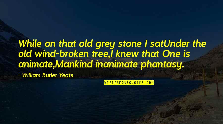 Sat'st Quotes By William Butler Yeats: While on that old grey stone I satUnder