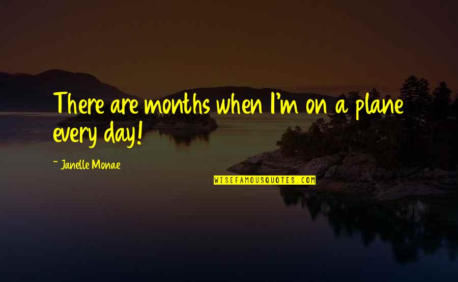 Satumee Quotes By Janelle Monae: There are months when I'm on a plane
