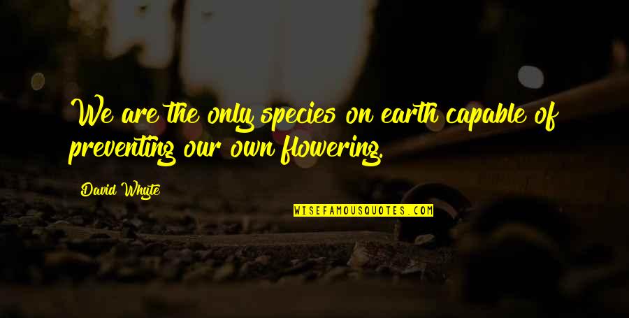 Saturday Images N Quotes By David Whyte: We are the only species on earth capable