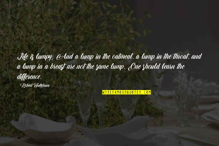 Satz Von Quotes By Robert Fulghum: Life is lumpy. And a lump in the
