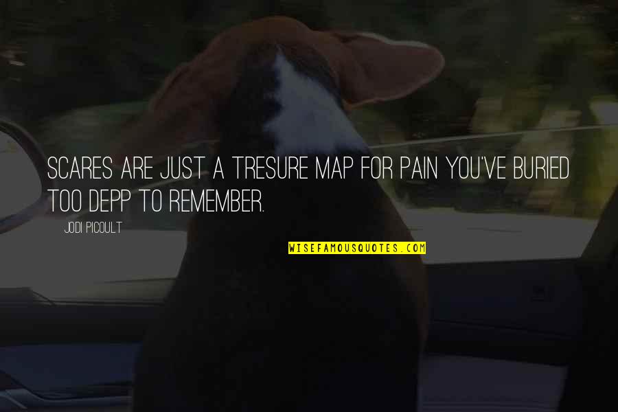 Sauceda Zacatecas Quotes By Jodi Picoult: Scares are just a tresure map for pain