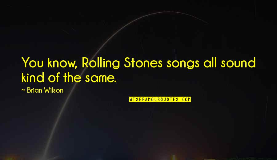 Saudis Quotes By Brian Wilson: You know, Rolling Stones songs all sound kind