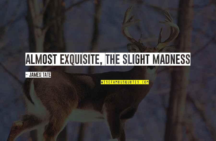Saueressig Vreden Quotes By James Tate: almost exquisite, the slight madness