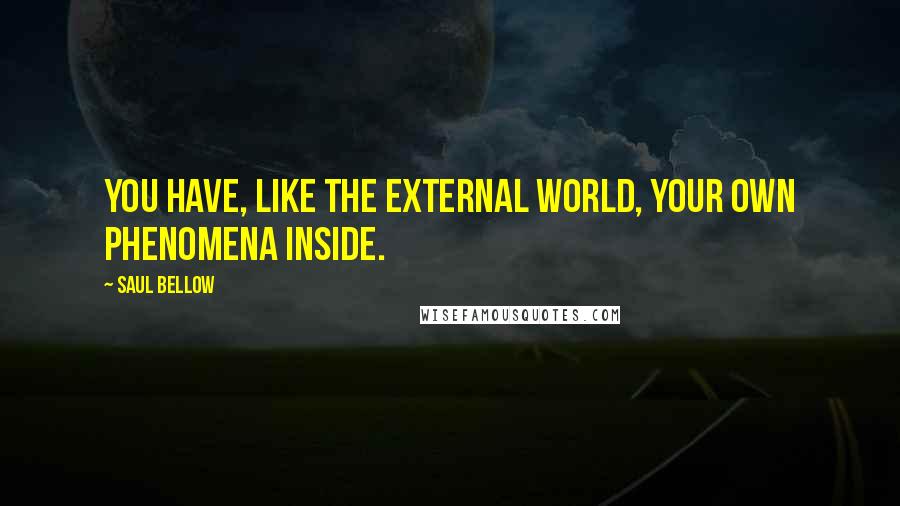 Saul Bellow quotes: You have, like the external world, your own phenomena inside.