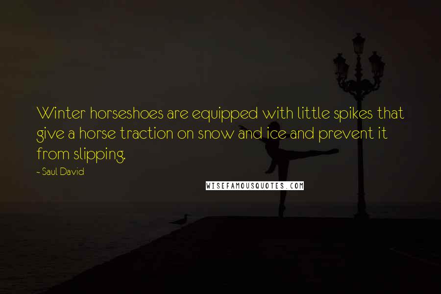 Saul David quotes: Winter horseshoes are equipped with little spikes that give a horse traction on snow and ice and prevent it from slipping.