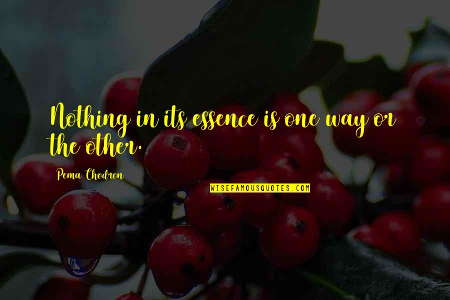 Sauppee Quotes By Pema Chodron: Nothing in its essence is one way or Sauppee Quotes By Pema Chodron: Nothing in its essence is one way or