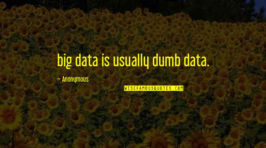 Sauvageot Pronunciation Quotes By Anonymous: big data is usually dumb data.