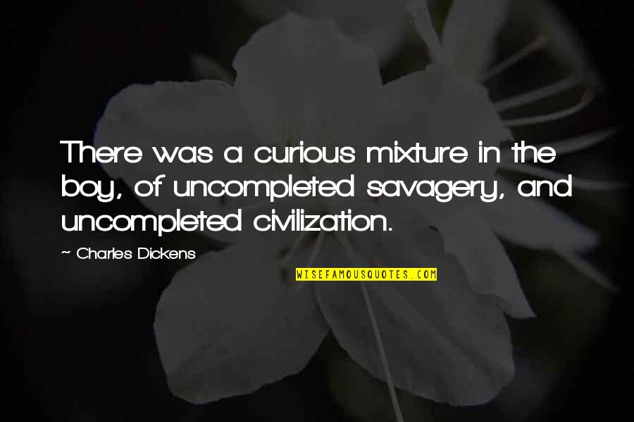 Savagery And Civilization Quotes By Charles Dickens: There was a curious mixture in the boy,