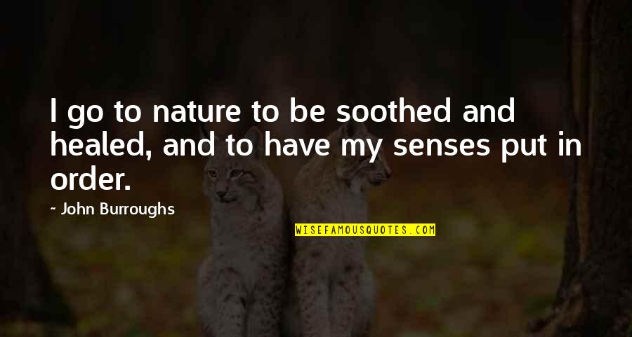 Savannah Highnote Quotes By John Burroughs: I go to nature to be soothed and