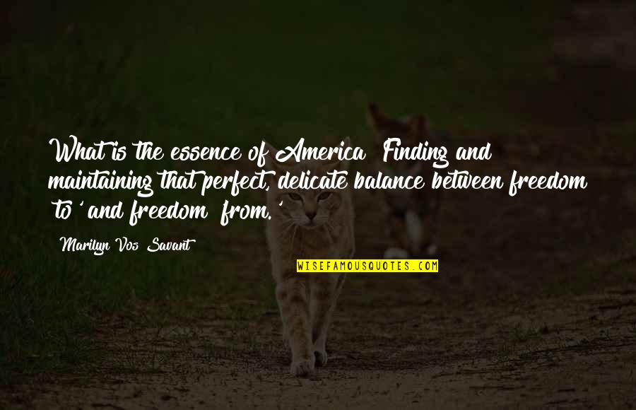 Savant Quotes By Marilyn Vos Savant: What is the essence of America? Finding and Savant Quotes By Marilyn Vos Savant: What is the essence of America? Finding and