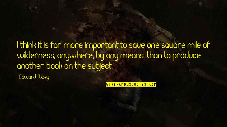 Save Anywhere Quotes By Edward Abbey: I think it is far more important to