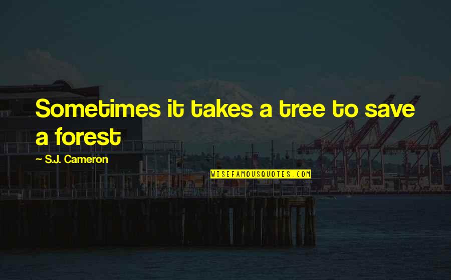 Save Forest Quotes By S.J. Cameron: Sometimes it takes a tree to save a