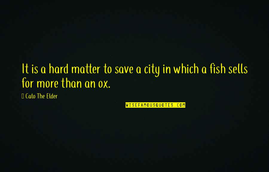 Save More Quotes By Cato The Elder: It is a hard matter to save a