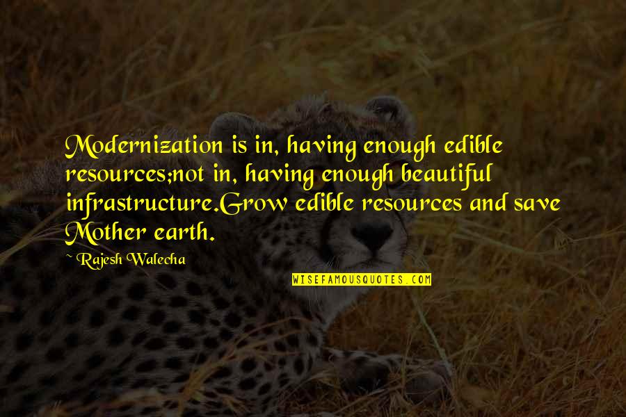Save Our Mother Earth Quotes By Rajesh Walecha: Modernization is in, having enough edible resources;not in, Save Our Mother Earth Quotes By Rajesh Walecha: Modernization is in, having enough edible resources;not in,