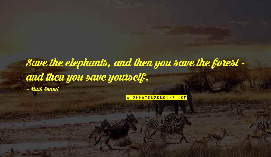 Save Yourself Quotes By Mark Shand: Save the elephants, and then you save the