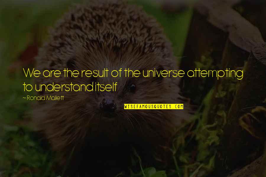Savidis Panagiotis Quotes By Ronald Mallett: We are the result of the universe attempting