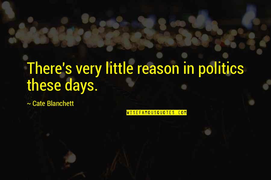 Savidisciplina Quotes By Cate Blanchett: There's very little reason in politics these days.