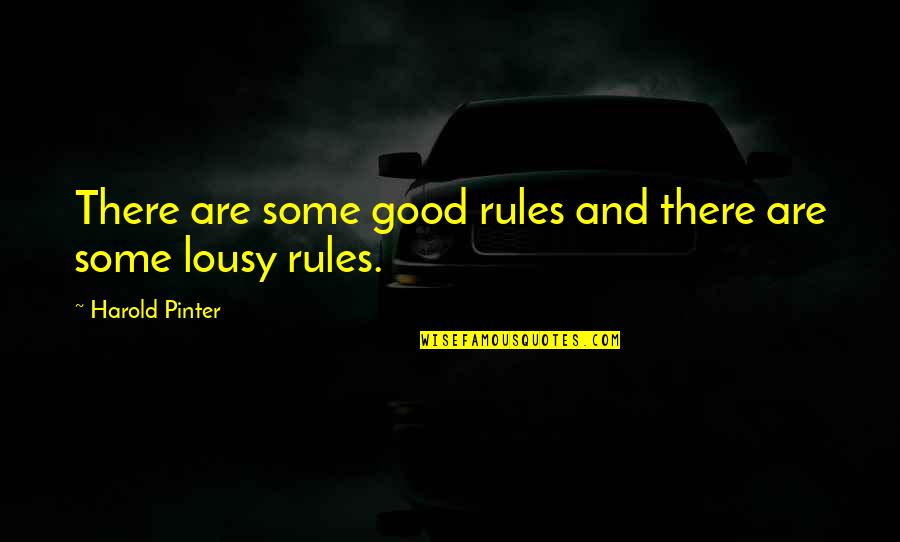 Savign Leveque Quotes By Harold Pinter: There are some good rules and there are